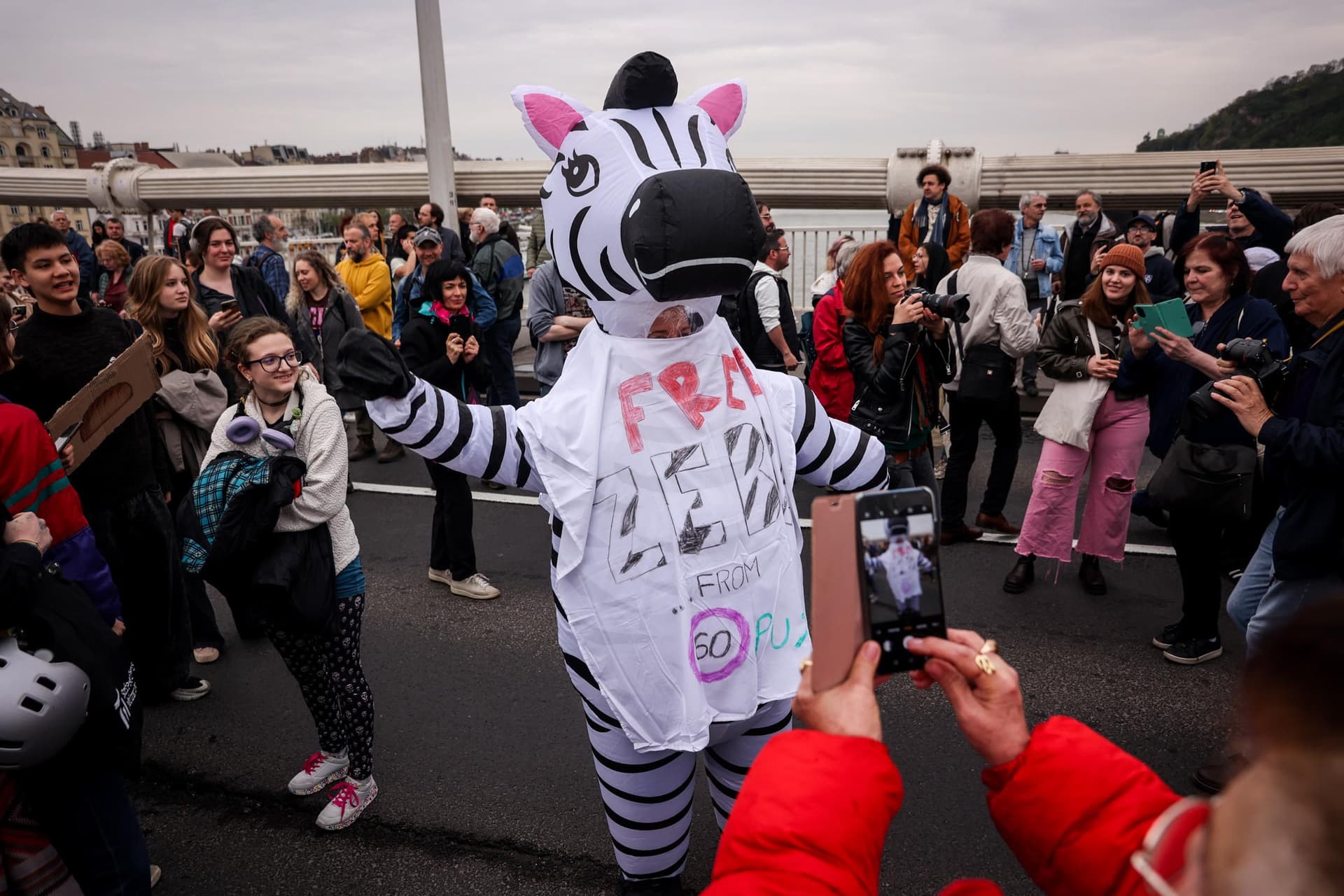 Már kezd megszokottá válni a hídfoglalás Budapesten