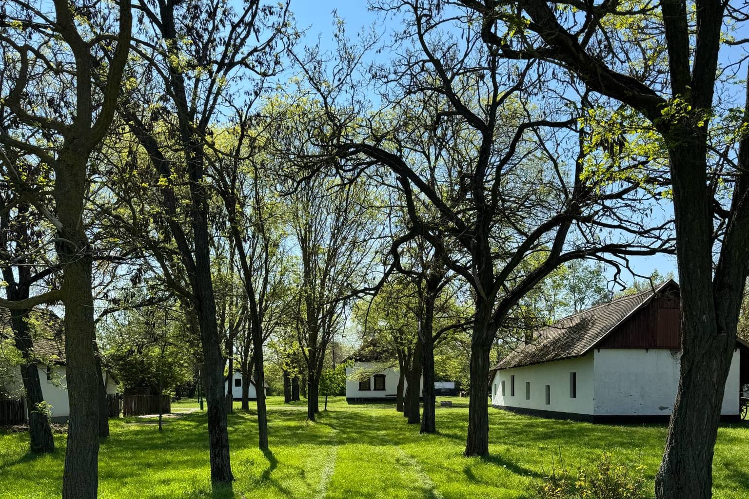 Az ópusztaszeri emlékpark az Év emlékhelye