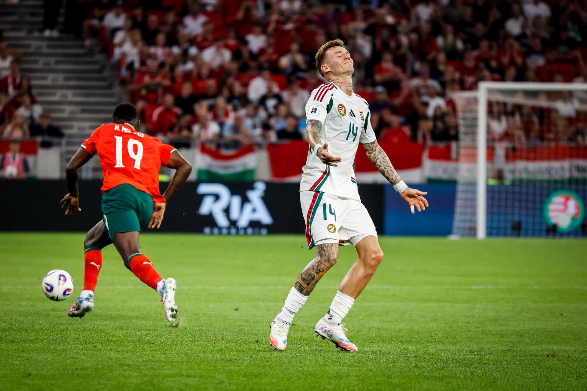 magyarország portugália