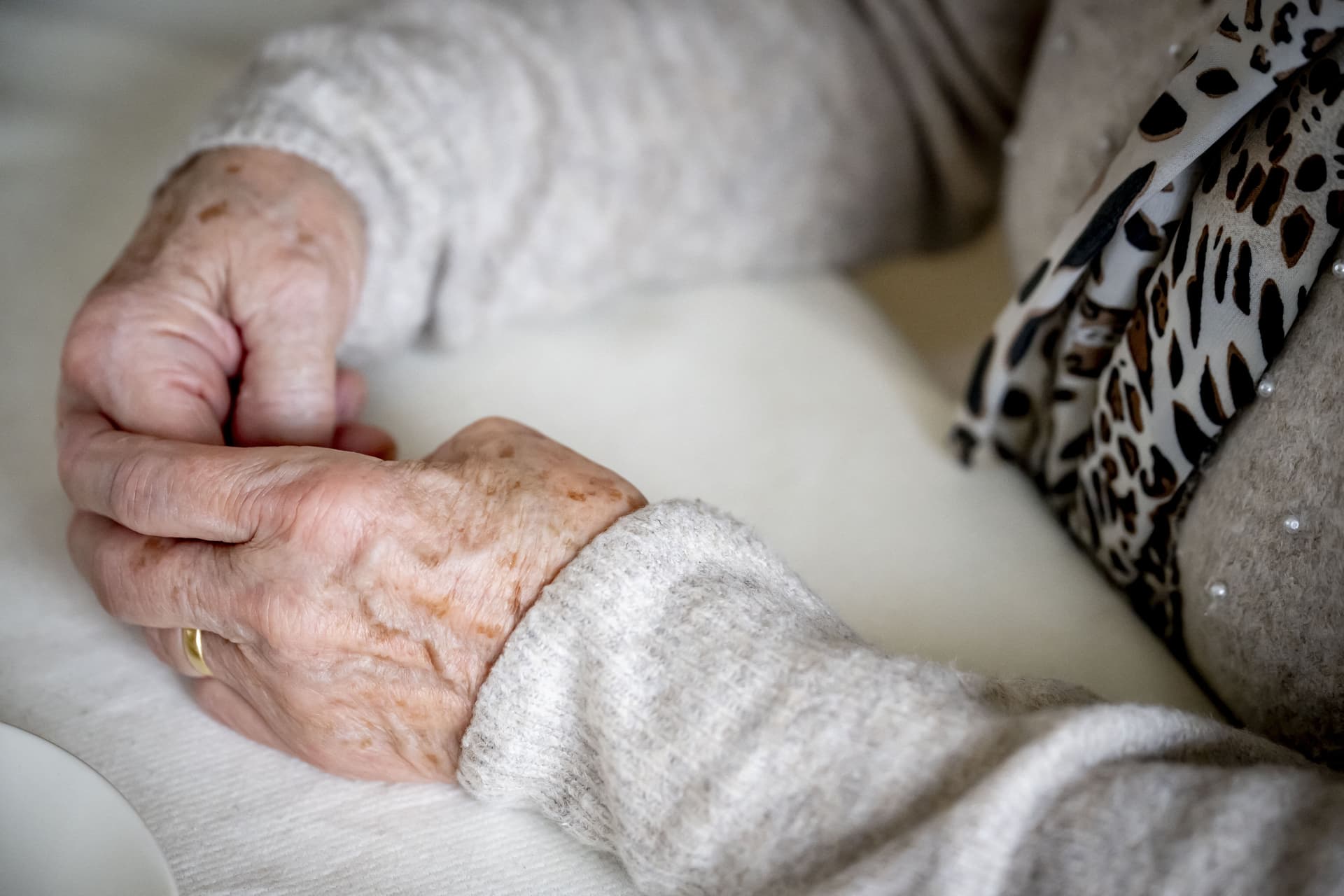 Az Alzheimer-kór titka az agy ereiben rejtőzik?