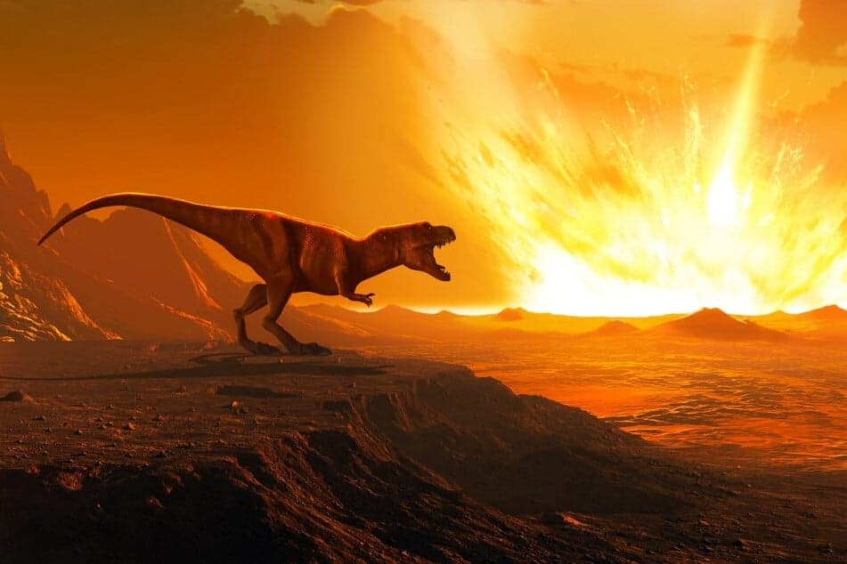 Hogyan jelent meg az élet a dinoszauruszok kihalása után?