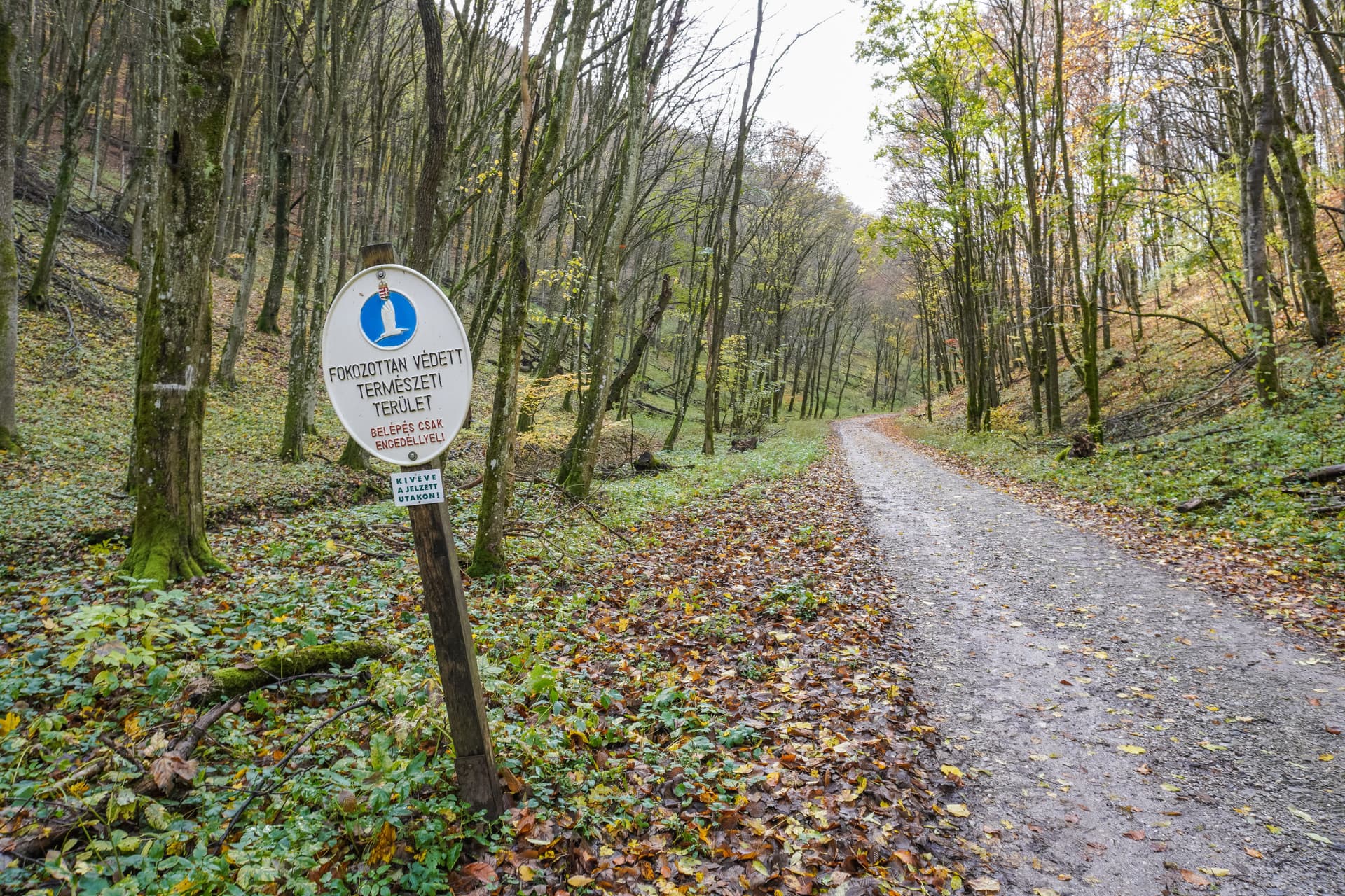 Fejlesztések erősítik az Őrségi Nemzeti Park természetvédelmi őrszolgálatát