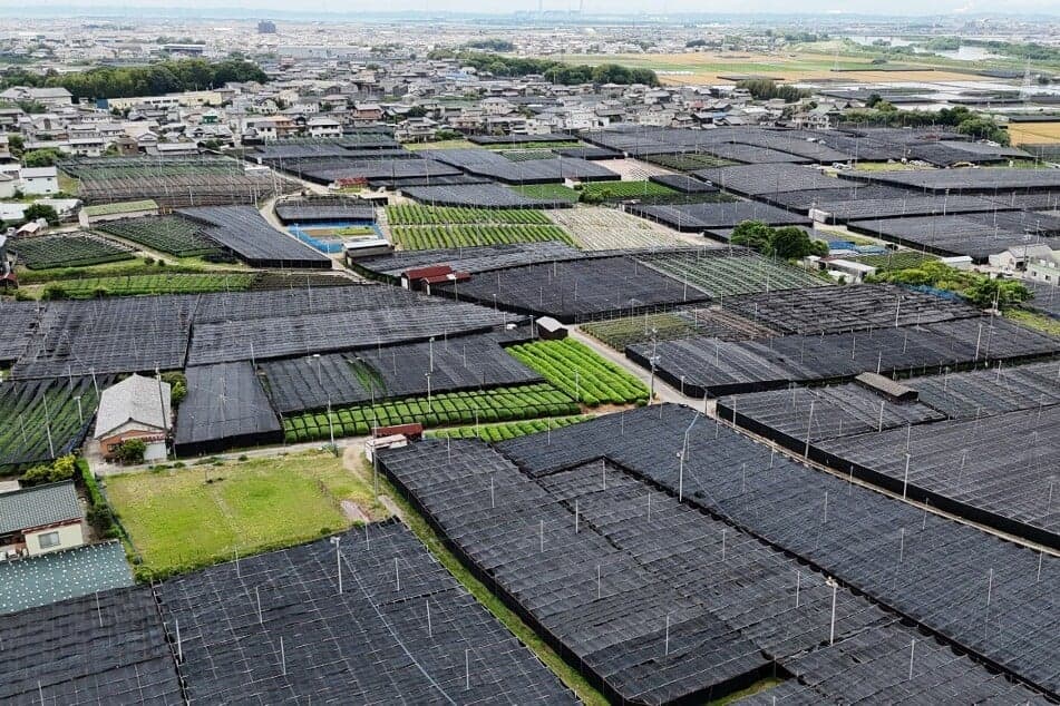 Nem képes magát ellátni Japán