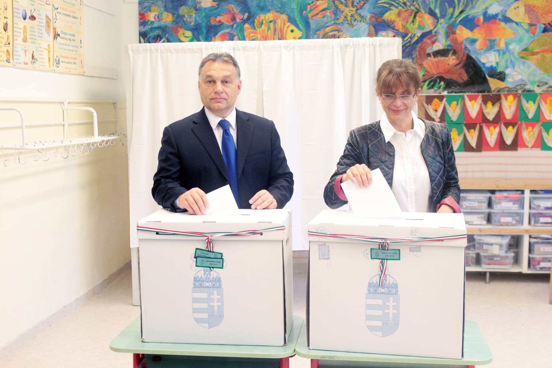 Önkori szavazás 2014