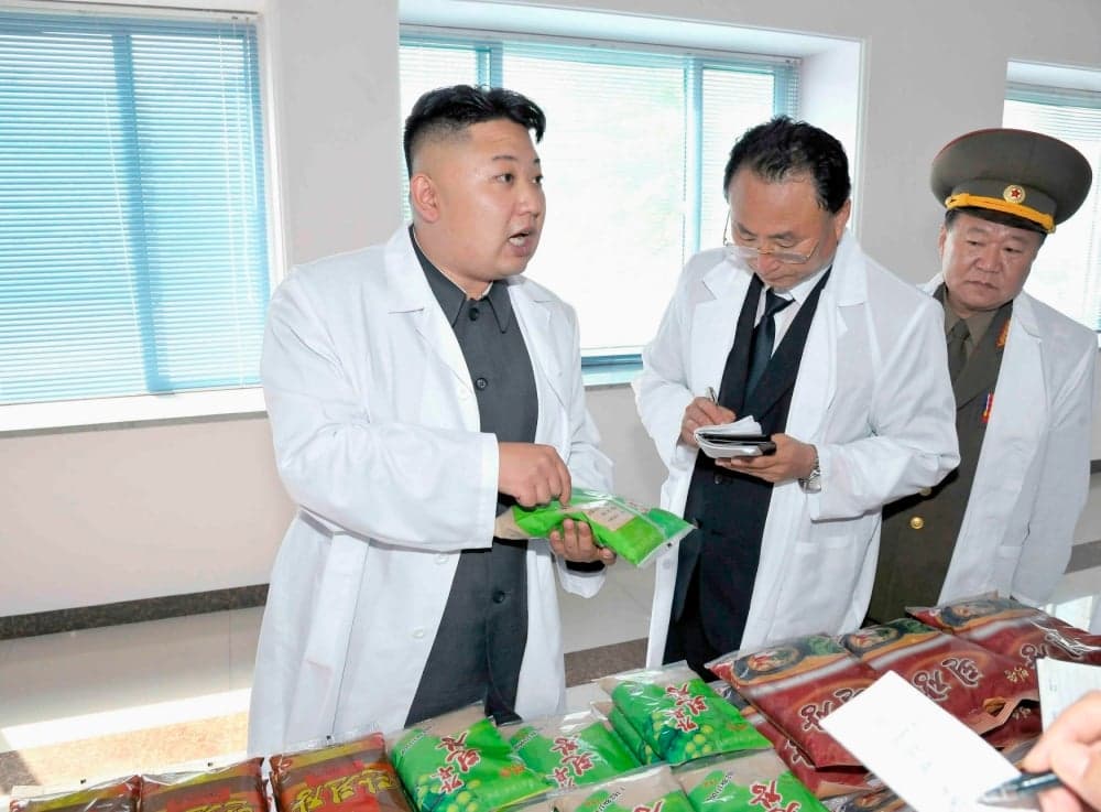 Kim Dzsong Un tanul