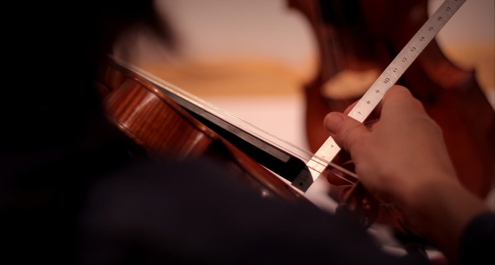Wine and violin
