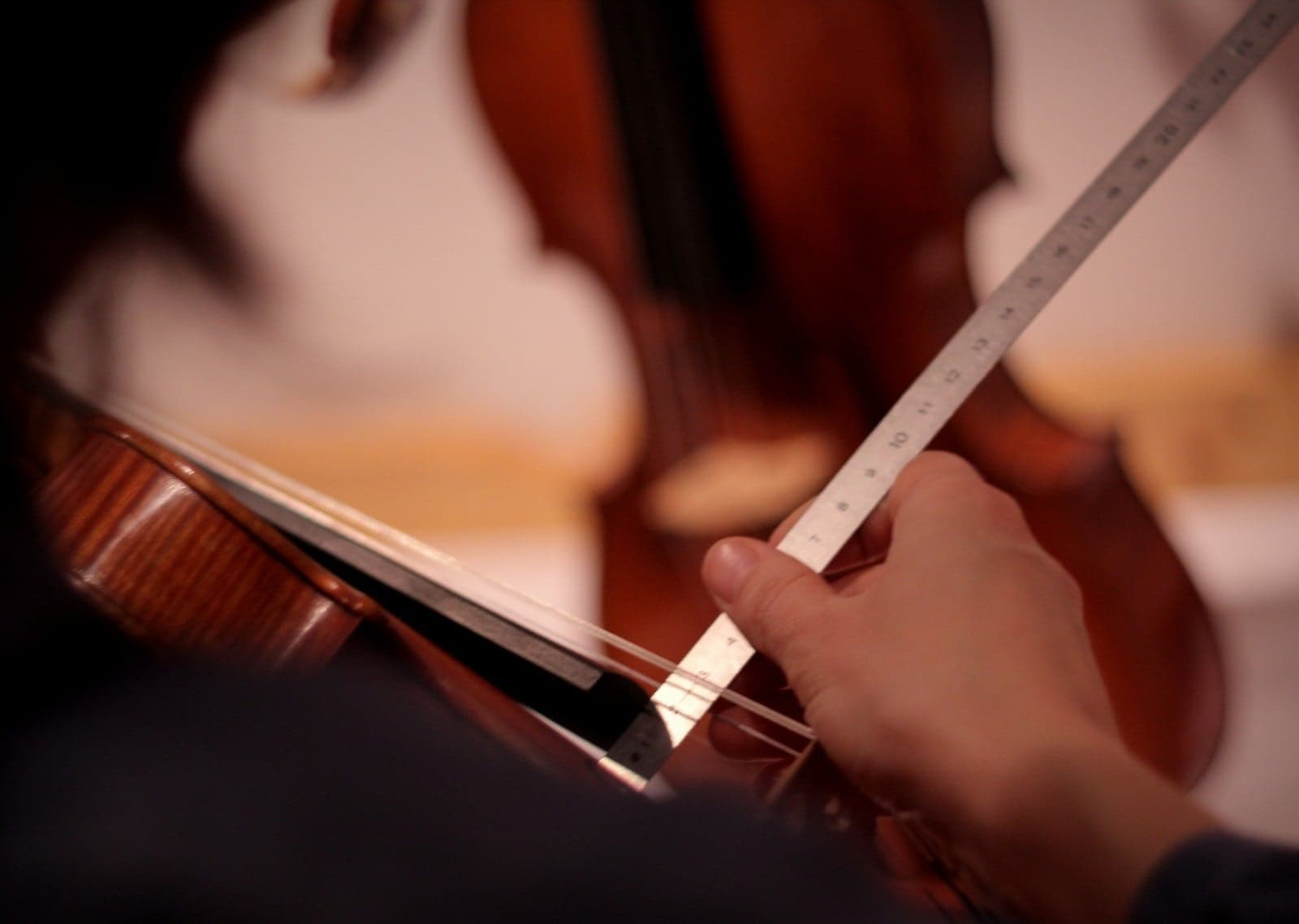 Wine and violin