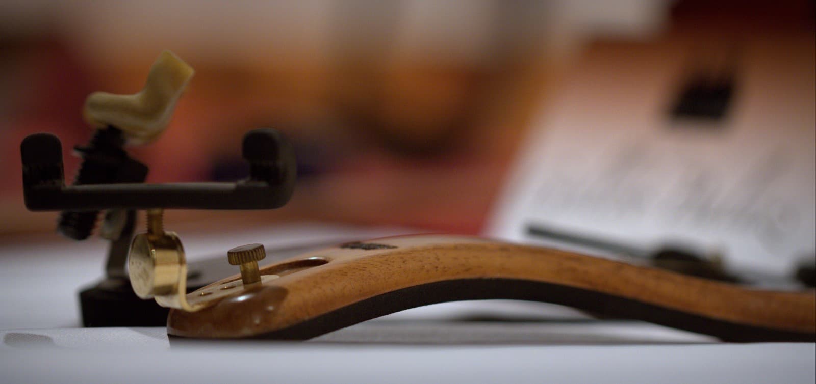 Wine and violin