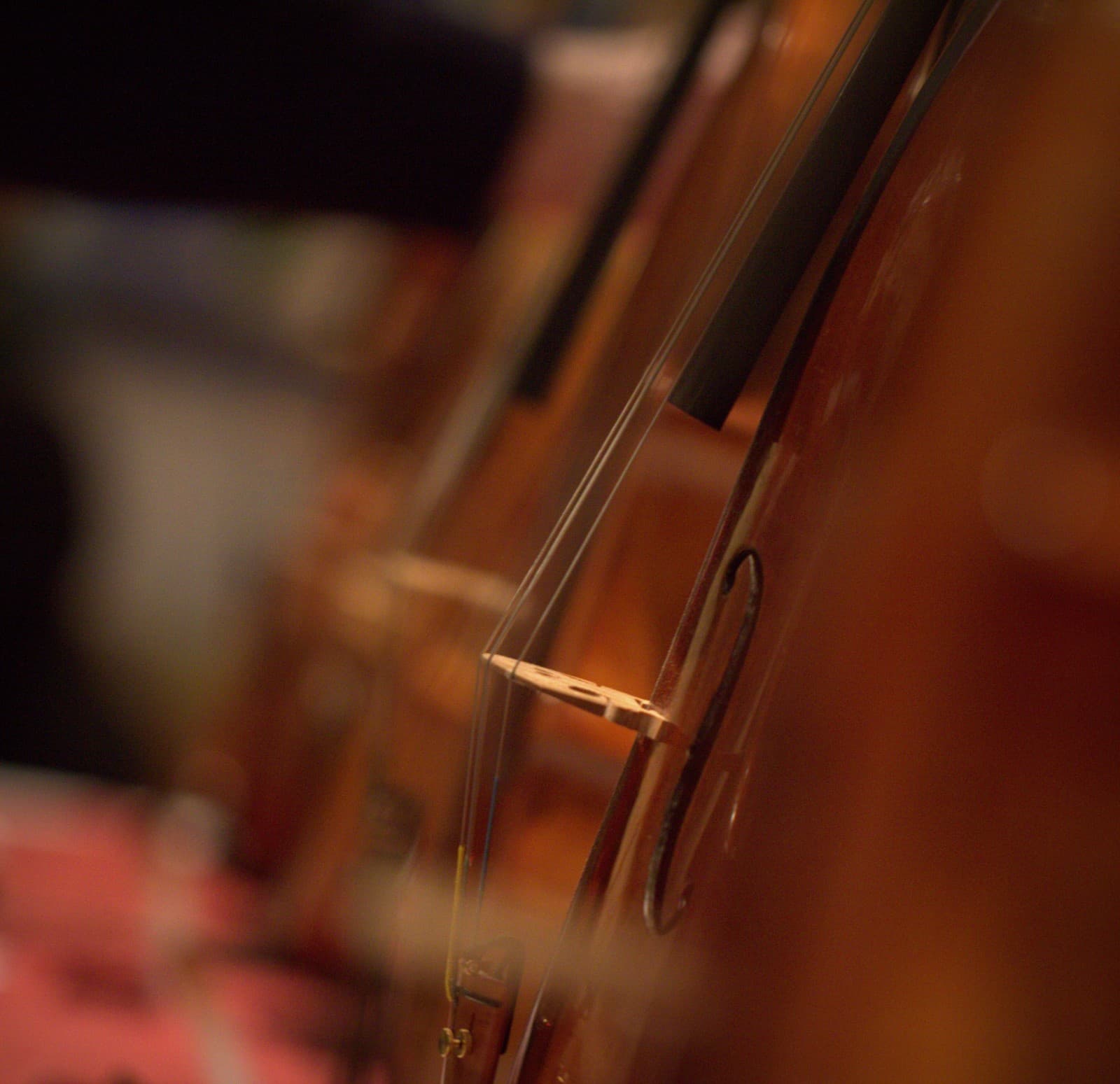 Wine and violin