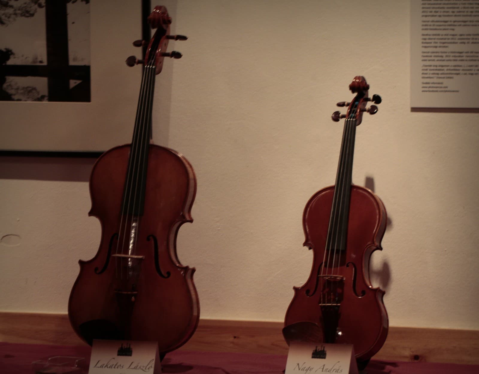Wine and violin