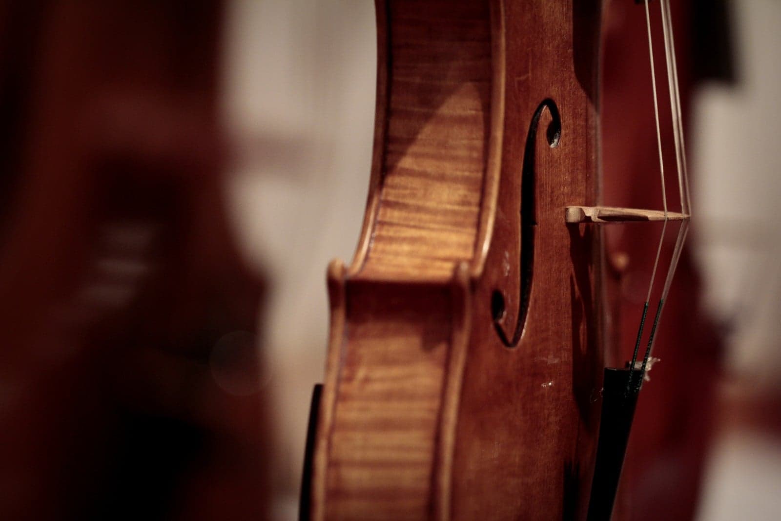 Wine and violin