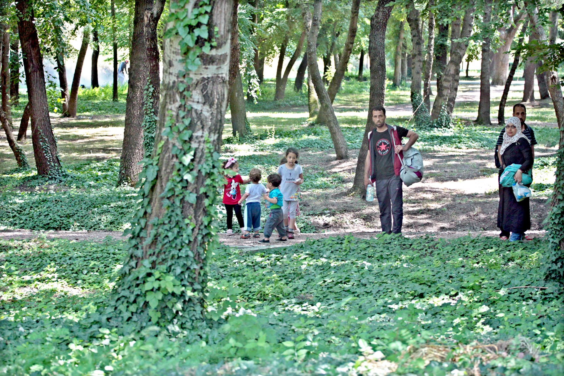 határ