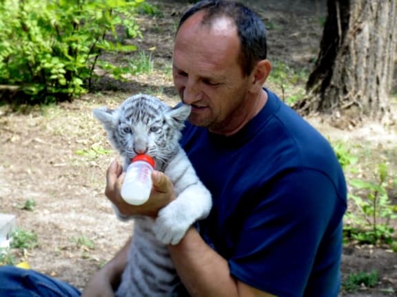 Magán Zoo kedvencei