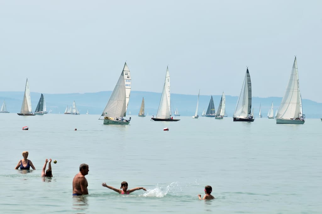 Kékszalag