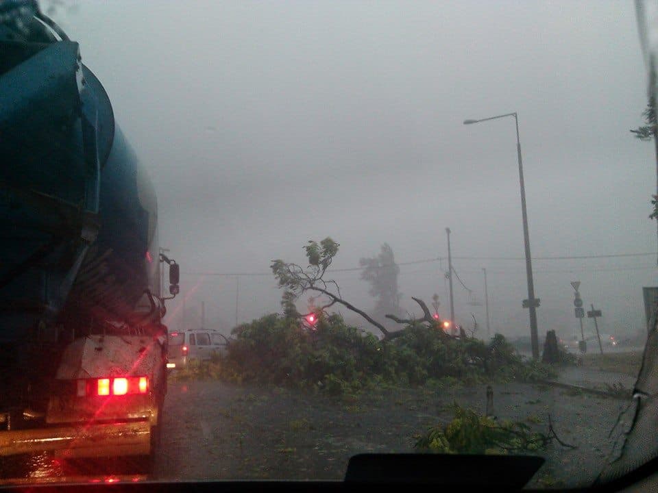 Vihar