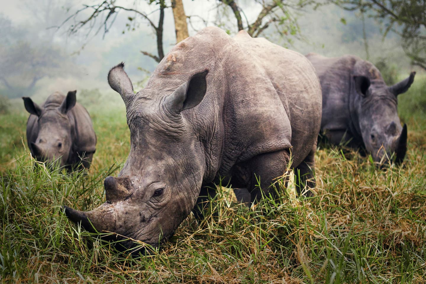 National Geographic Traveler Photo Contest