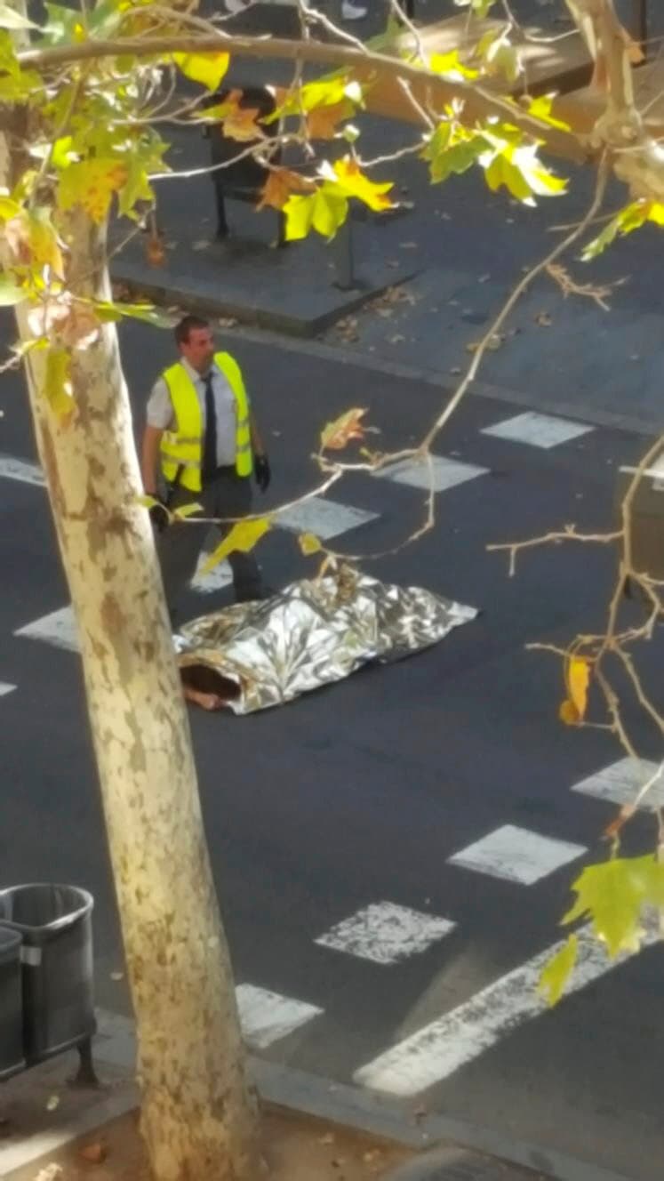 terror bcn