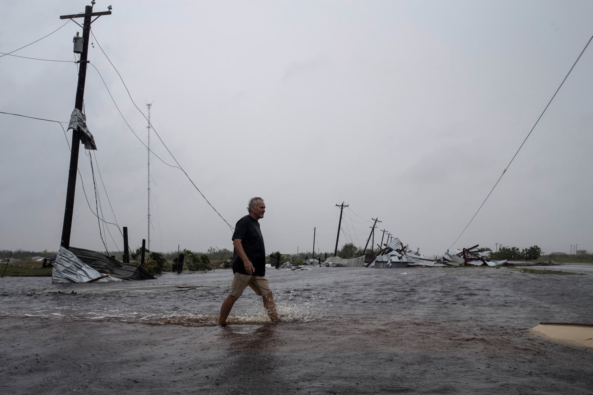 Harvey