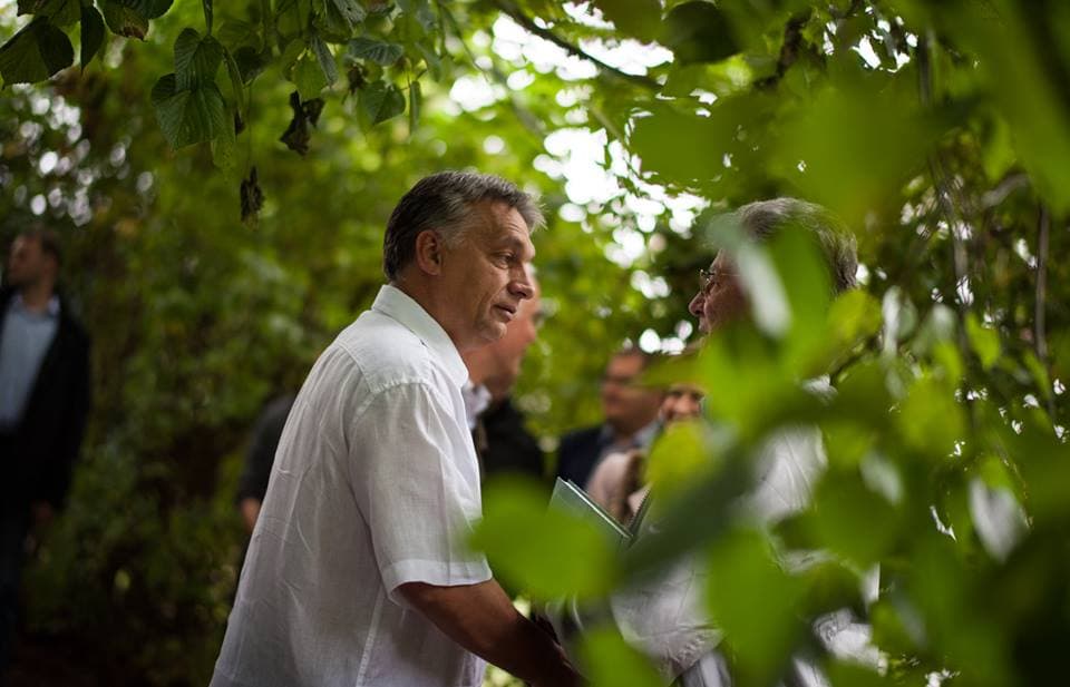 Orbán Viktor Kötcse
