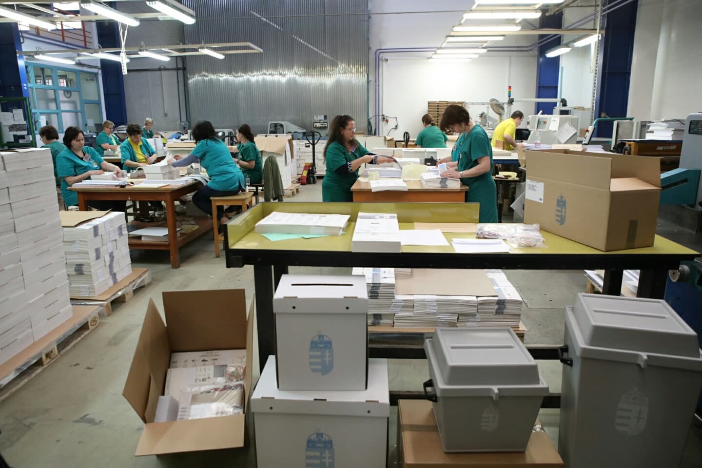 szavazólap nyomtatás