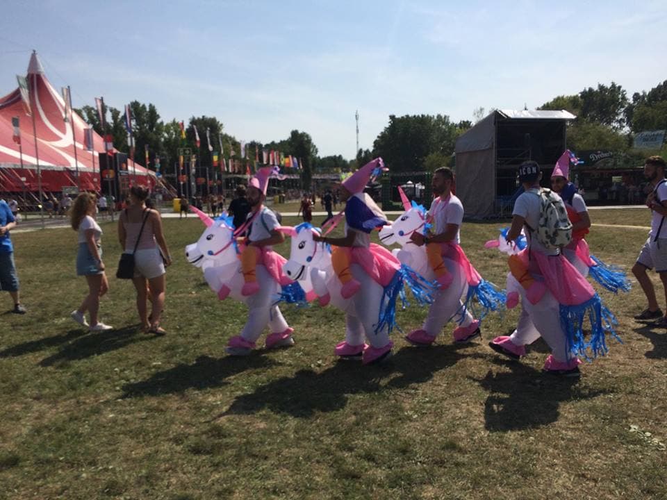 SZIGET-ELSŐ NAP-MÁSODIK ERESZTÉS