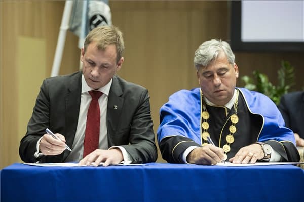Testnevelési egyetem