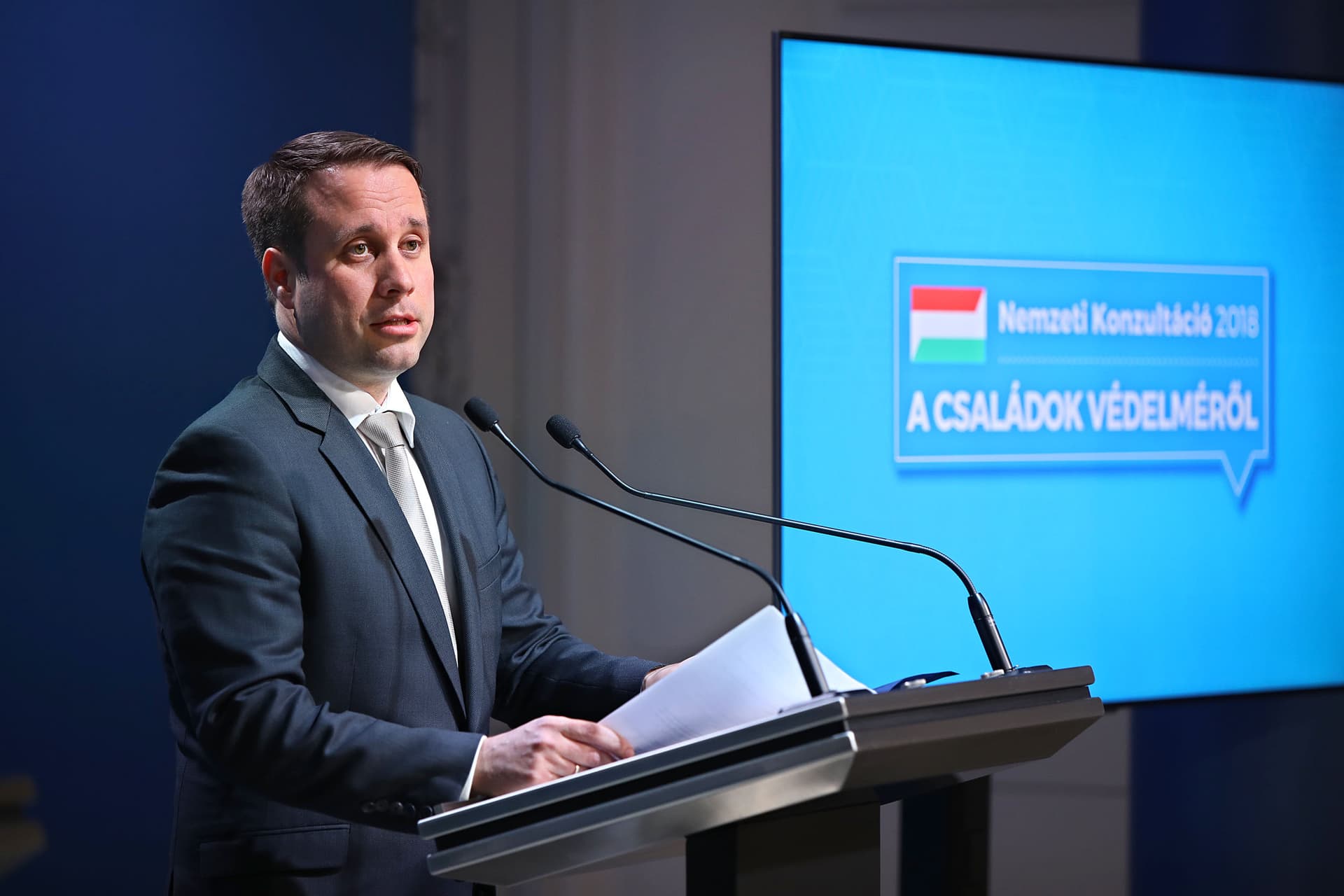 nemzeti konzultáció novák dömötör