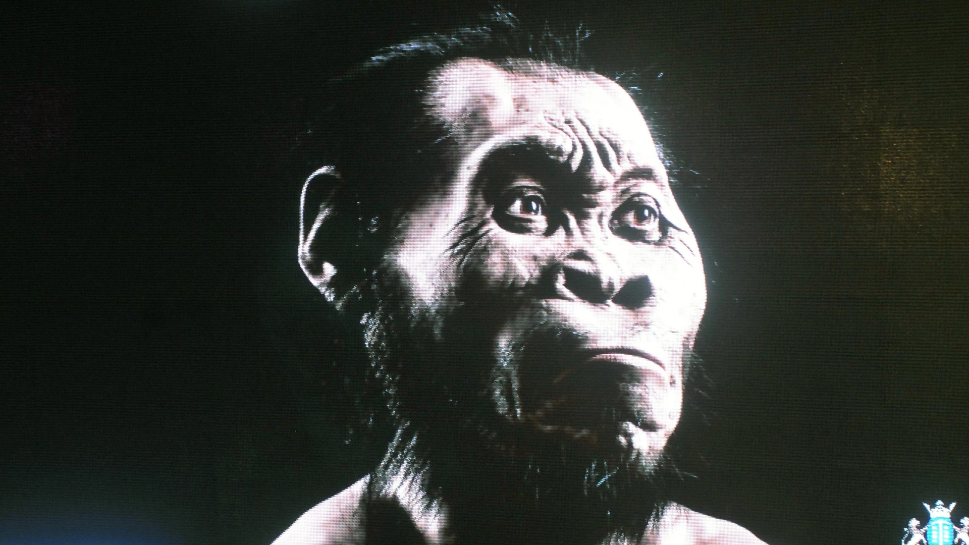 Felfedték a Homo naledi faj sötét titkát
