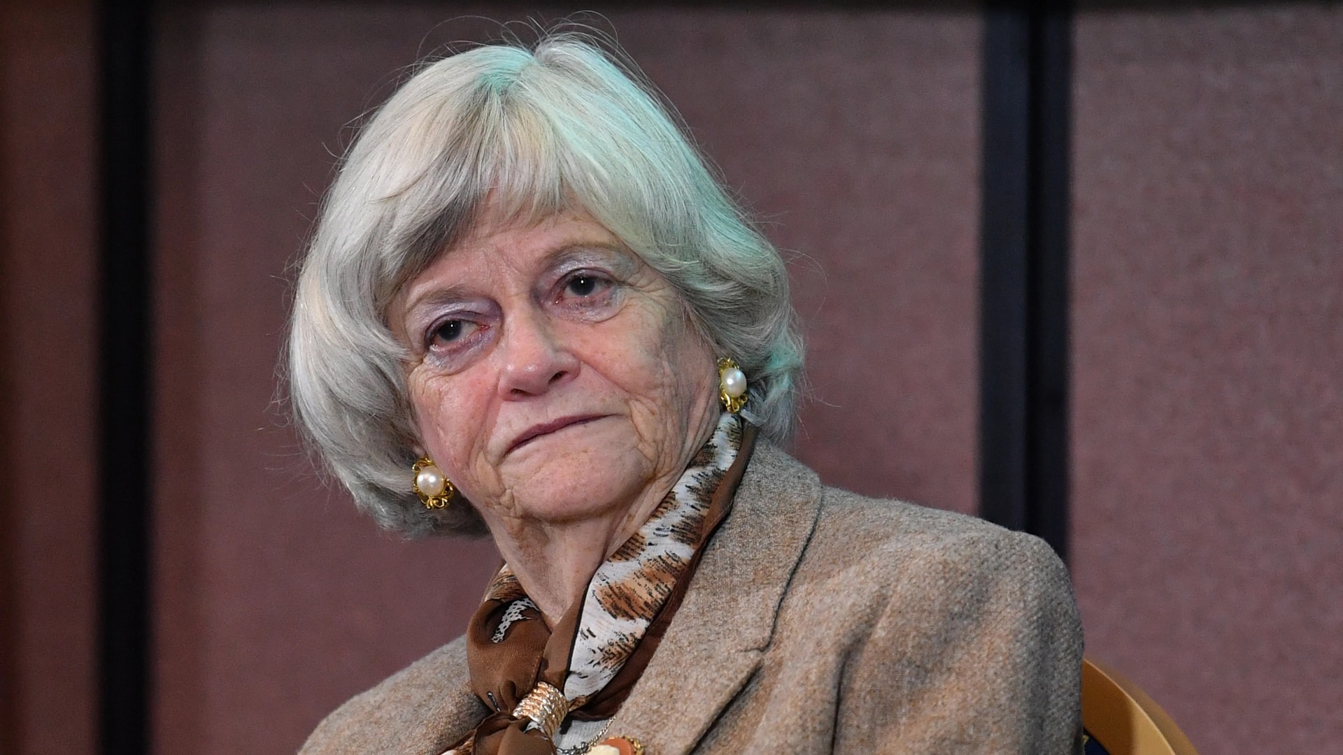 A brit rendőrség elengedte az Ann Widdecombe brit politikus halálának ügyében őrizetbe vett férfit