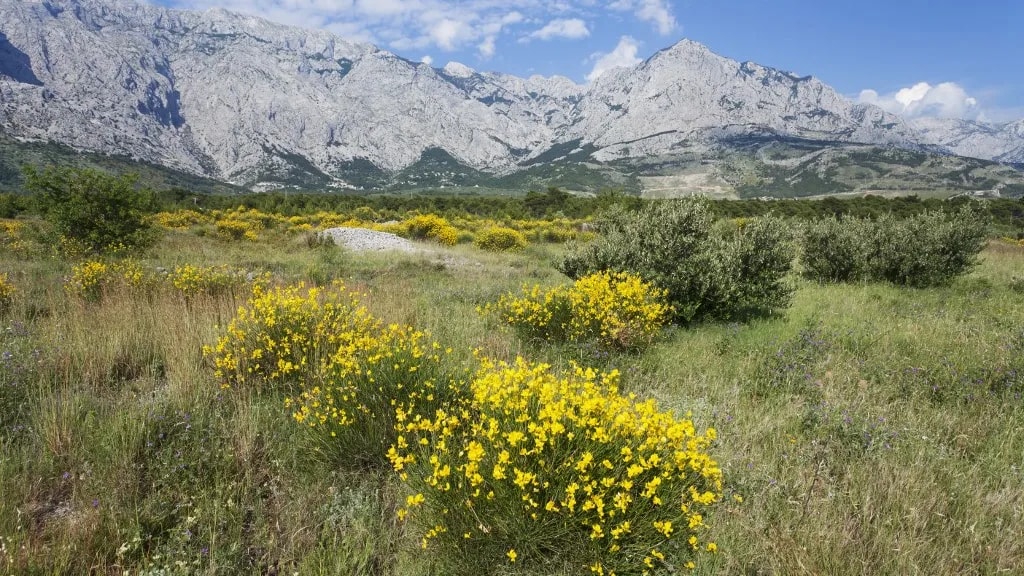 Meghalt egy cseh turista a Biokovo-hegységben