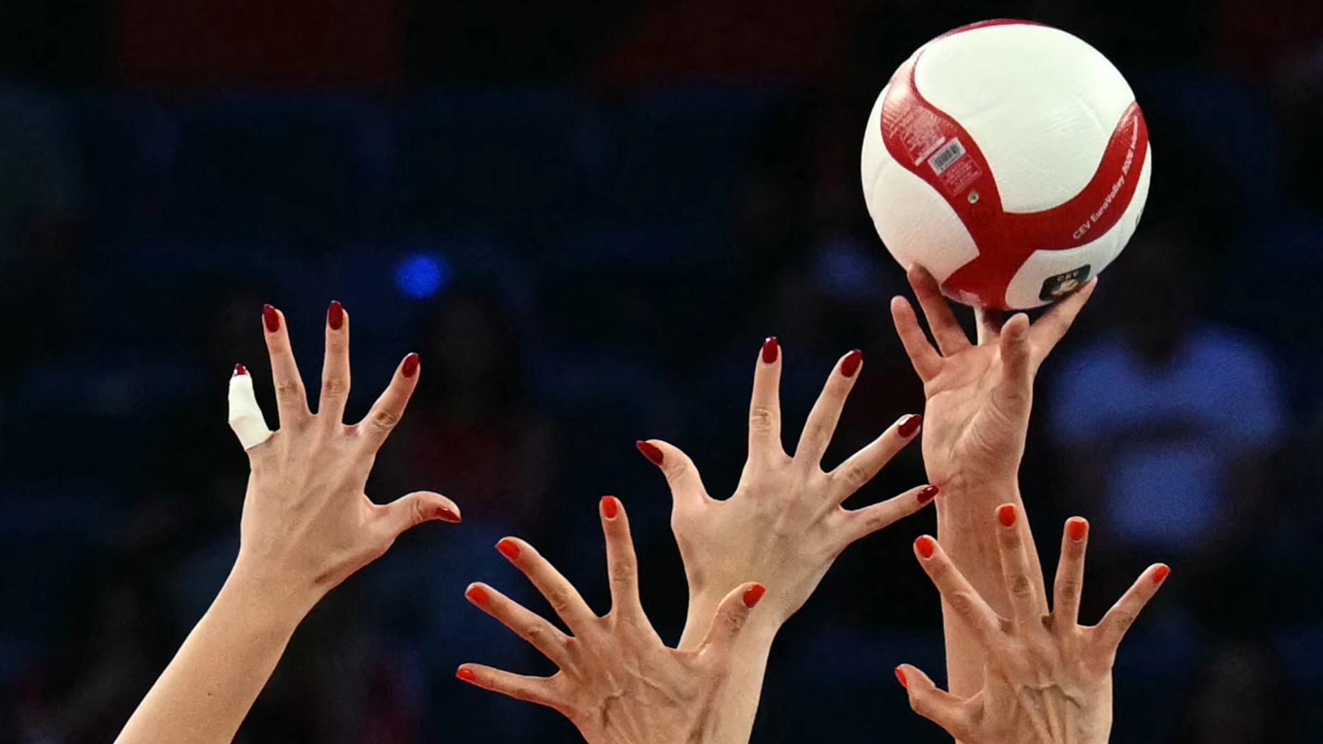 Első olimpiai érmes válogatottját köszöntötte a Magyar Kézilabda Szövetség