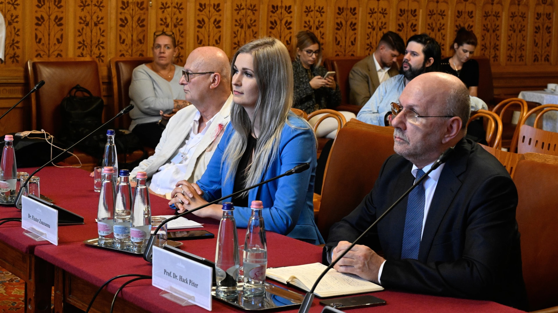 A végrehajtói rendszer és a bicskei ügy a vizsgálóbizottság asztalán