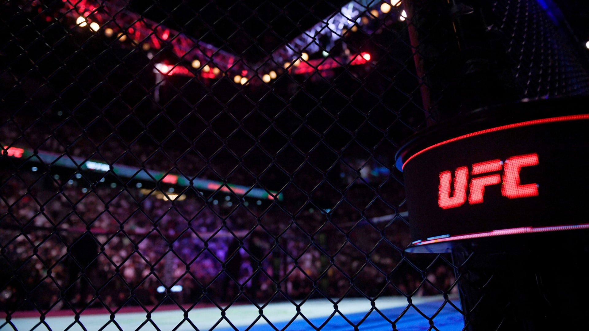 Növényi Norbert Jr. Las Vegasban UFC-szerződésért lép ketrecb