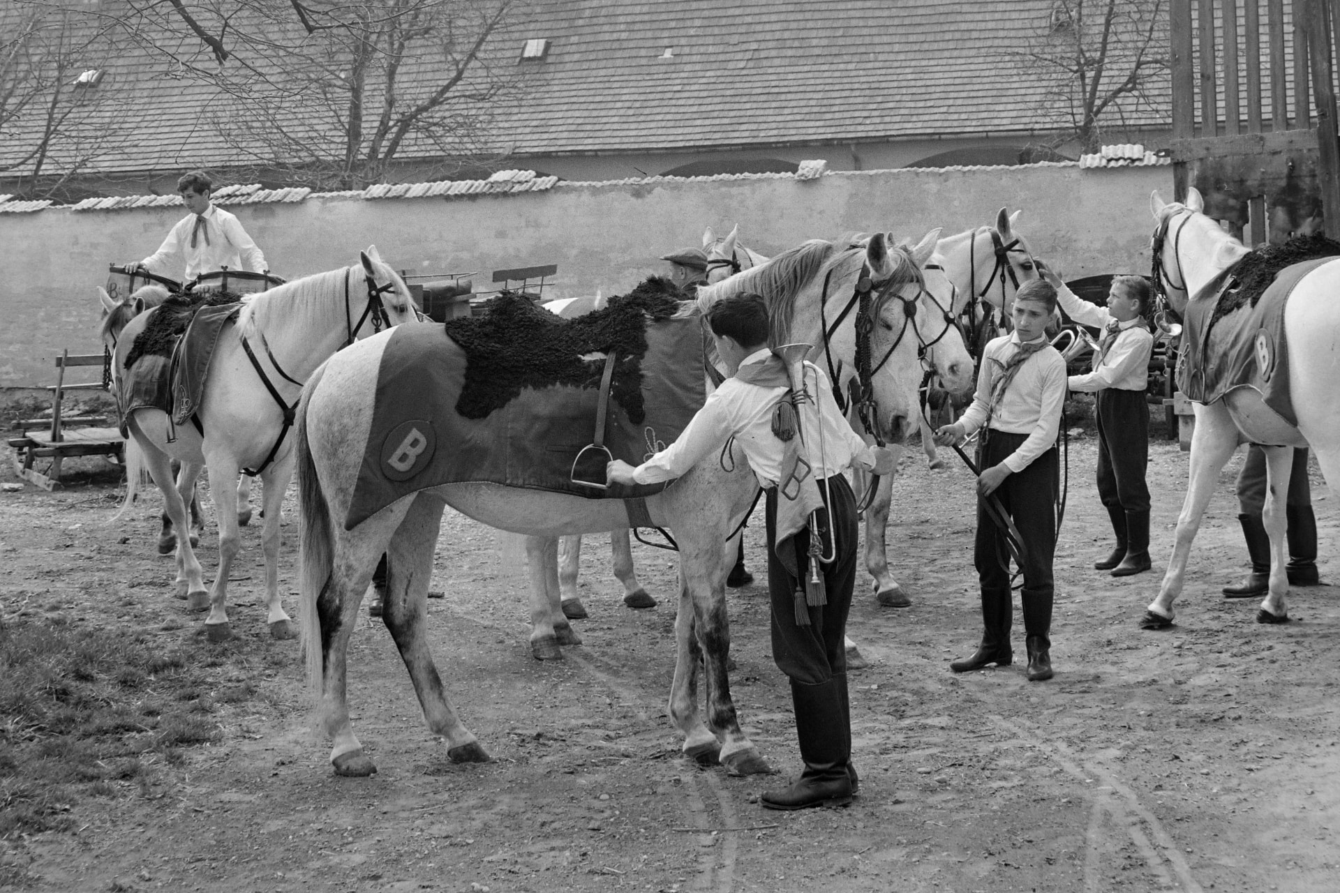 És akkor 176. – Mazsola