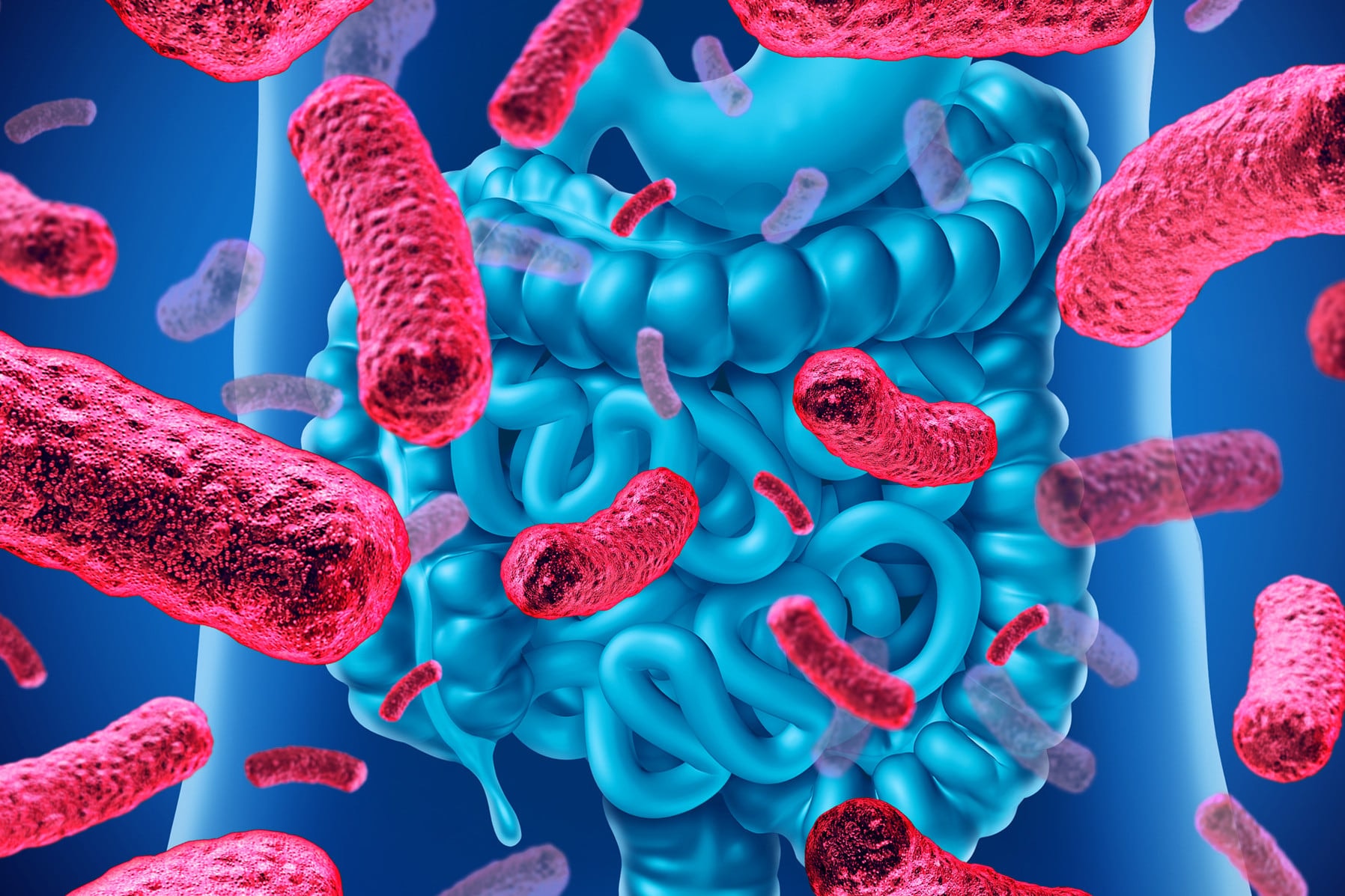 Melanomás betegekre veszélyes lehet a probiotikum