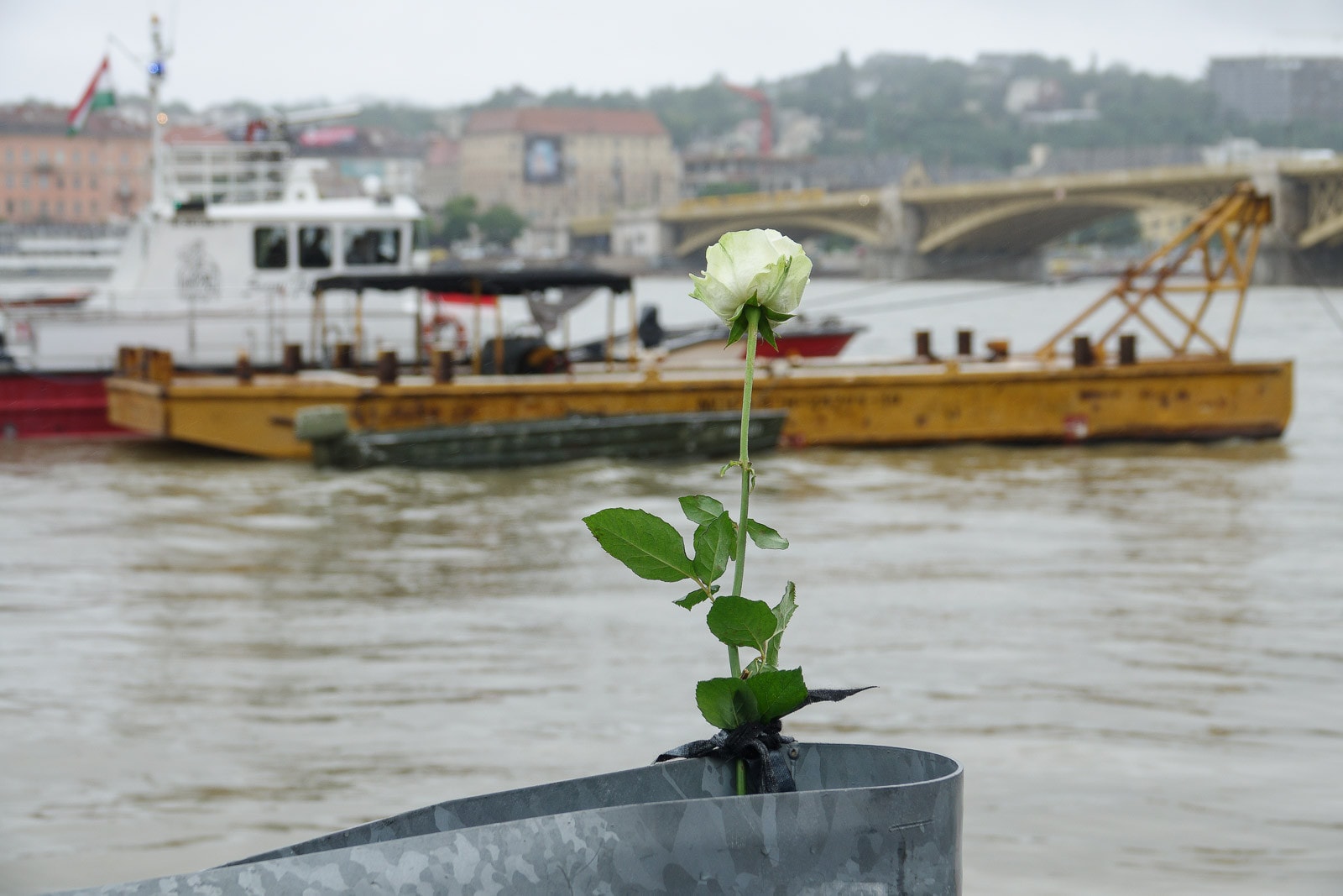 Már csak egy ember van kórházban a hajóbaleset túlélői közül