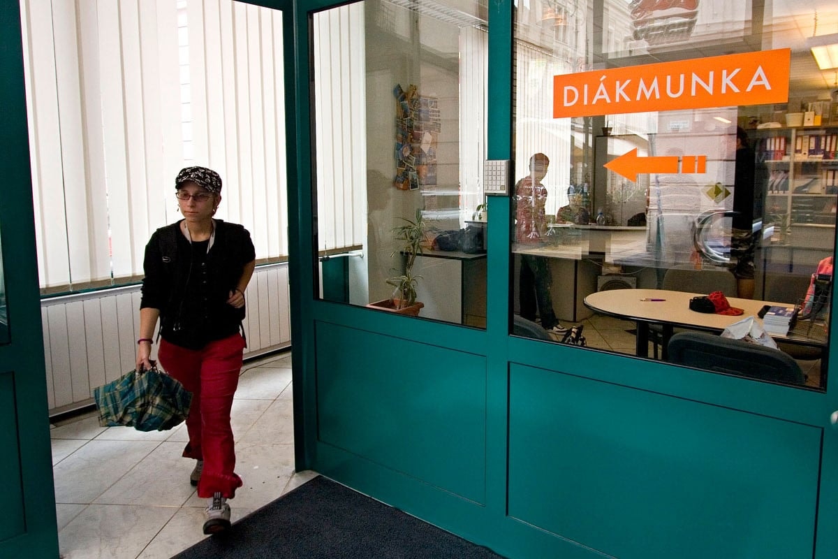 Nem csökkent drasztikusan a diákmunka