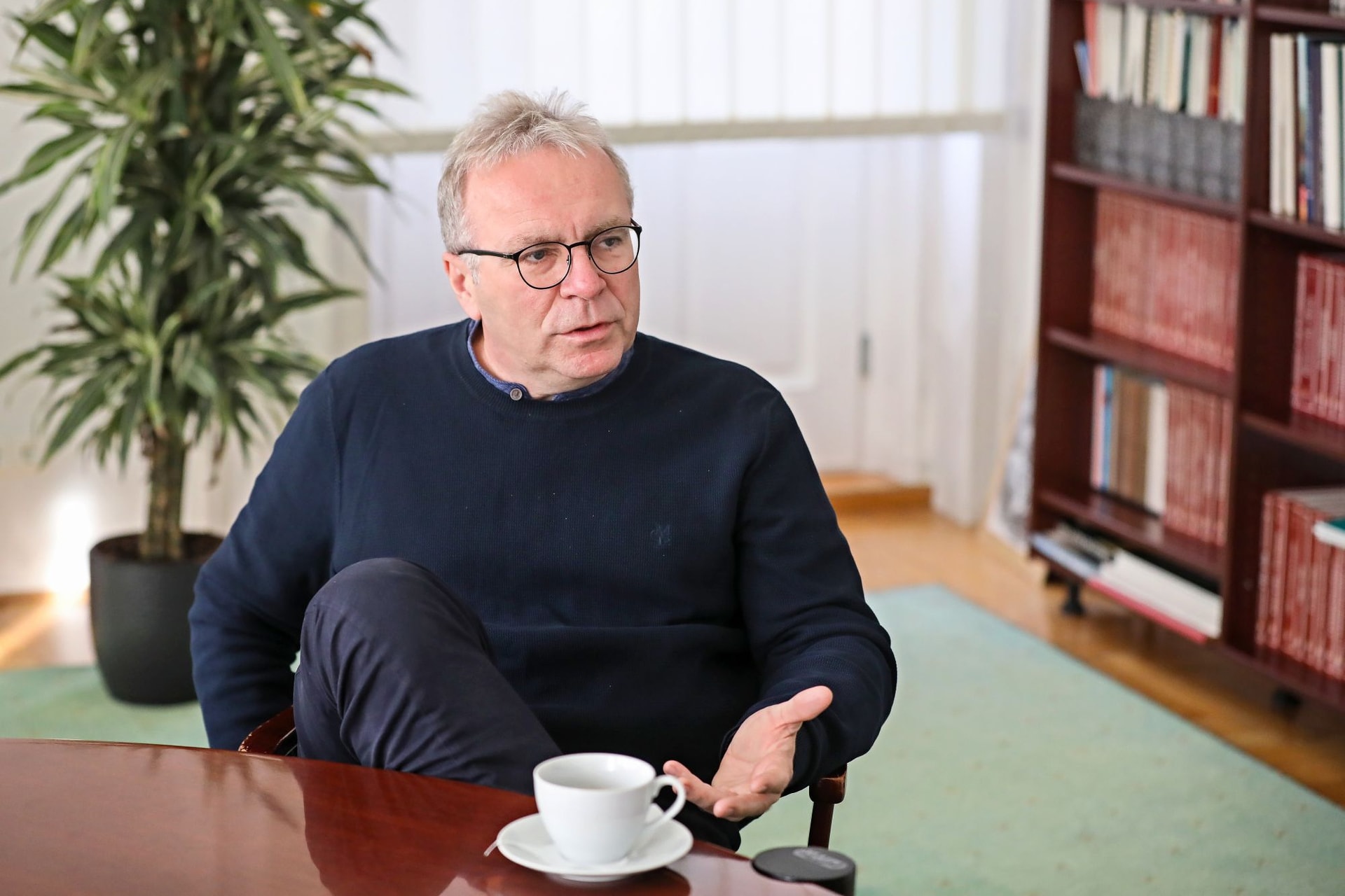 Karácsonynak a Normafa fejlesztése sem tetszik