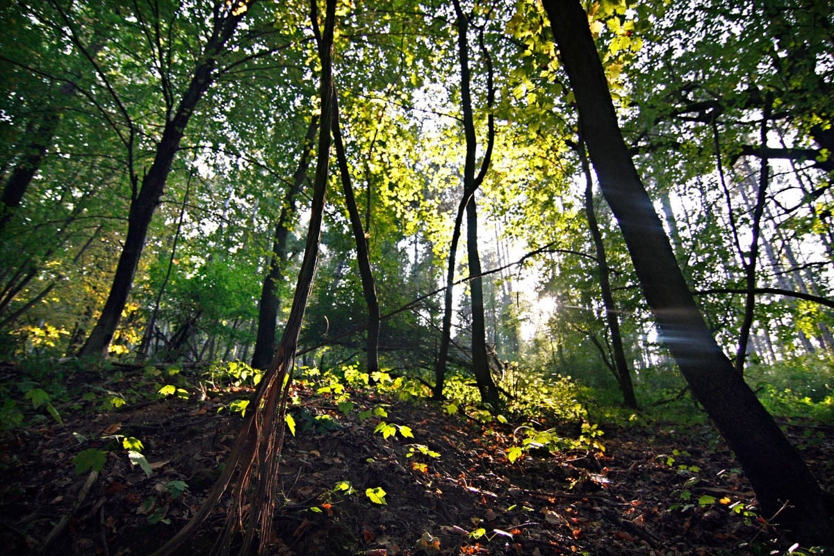 Így viselkedhetünk felelősen a természetben