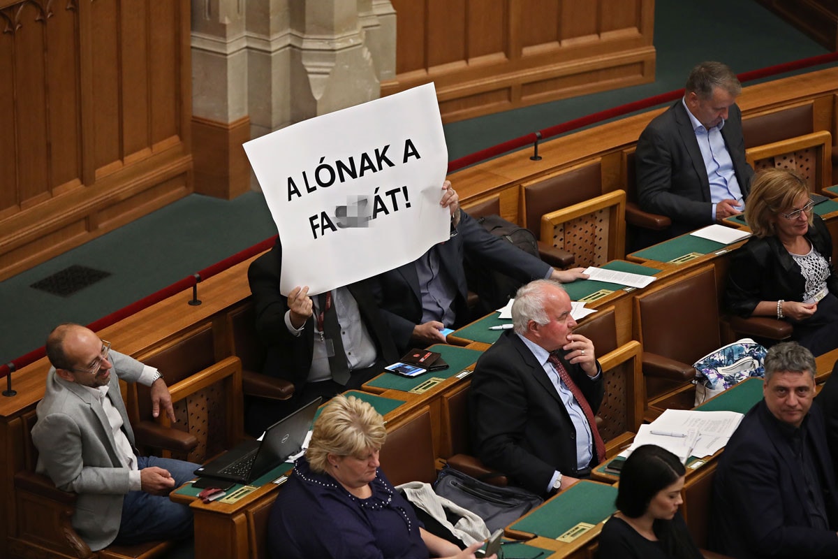 Hadházy Ákos, a meg nem választott botránypolitikus