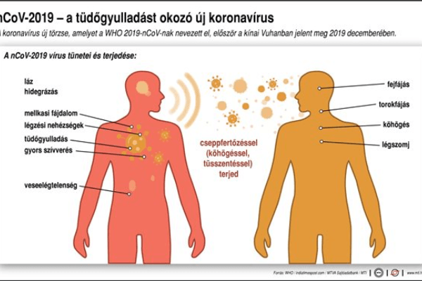 Nem terjed olyan gyorsan a koronavírus, mint a szamárköhögés