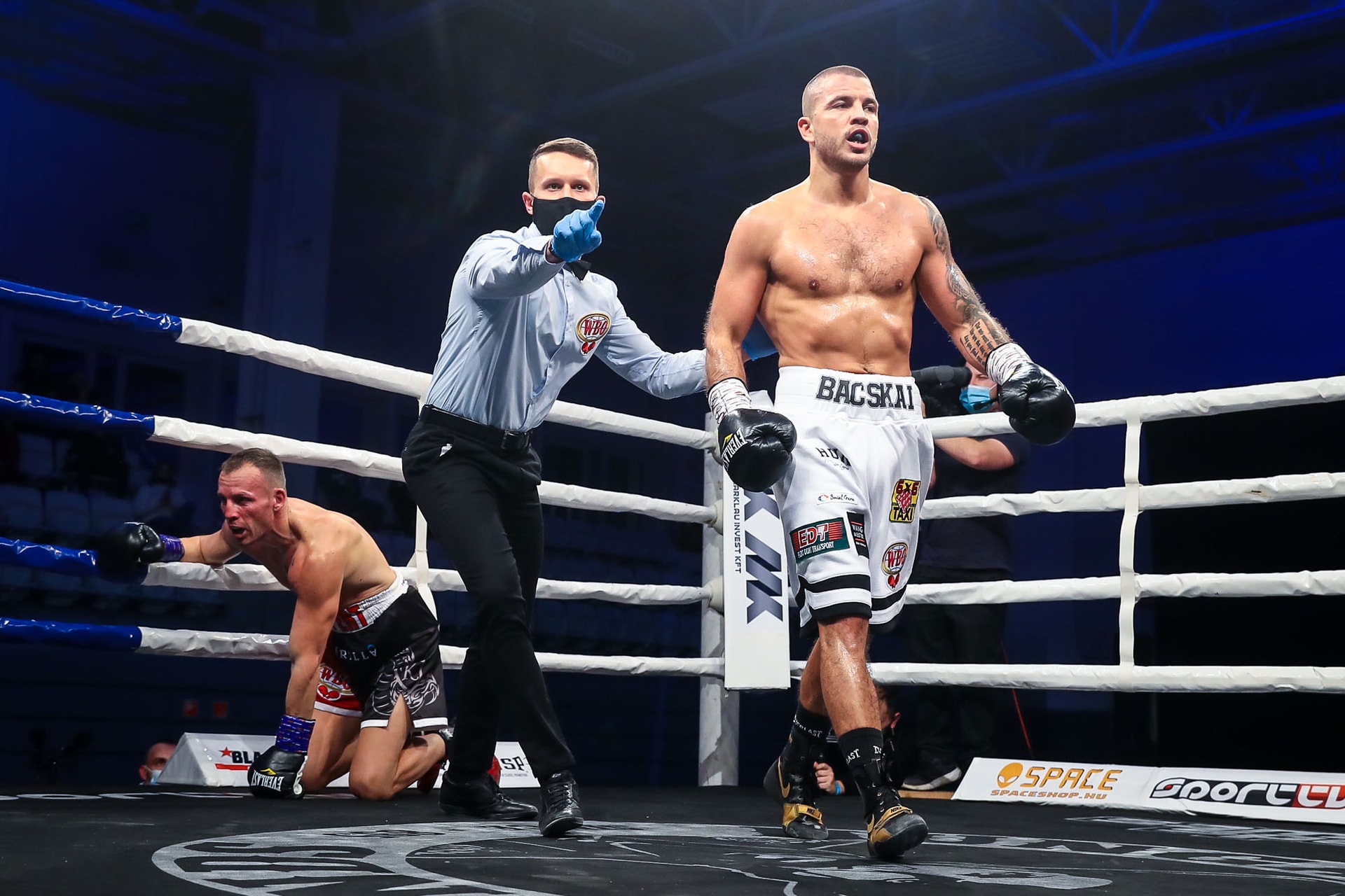 Bacskai Balázs a WBO nagyváltósúlyú interkontinentális bajnoka