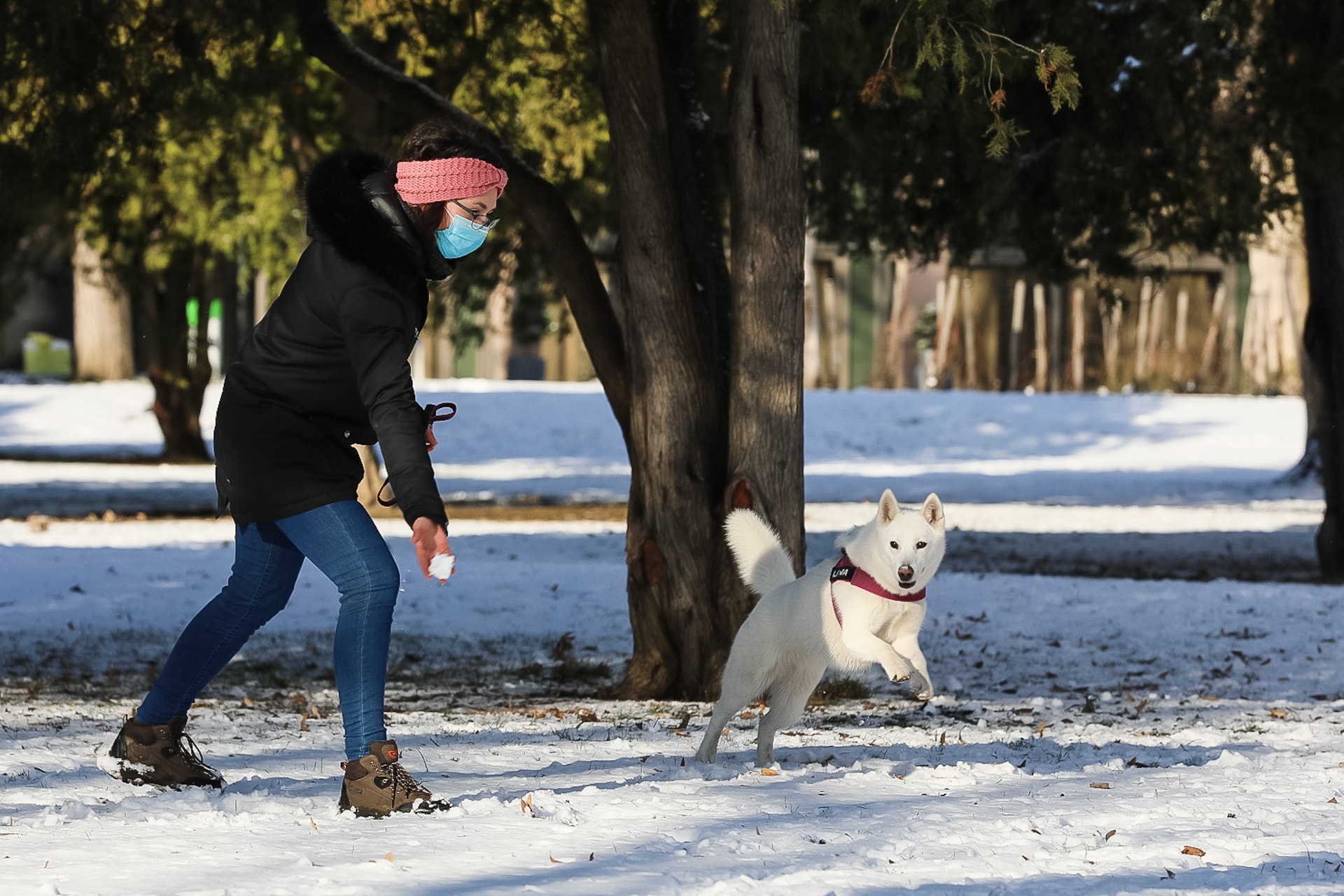 A fagyban az állatok is veszélyben lehetnek
