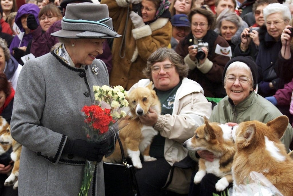 Ezért ragaszkodik András Erzsébet királynő corgijaihoz