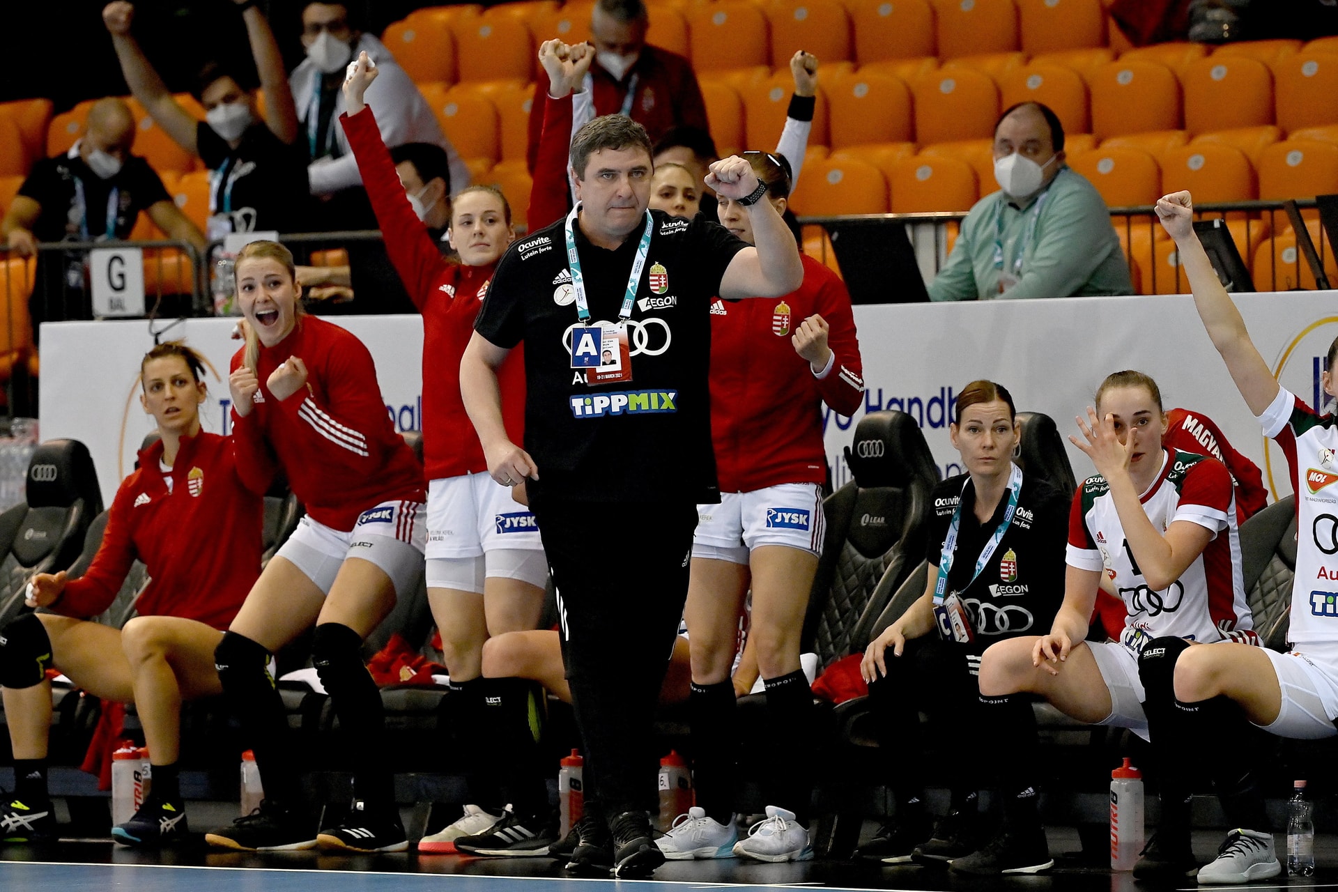 Elek Gábor: Ez az egész magyar kézilabda sikere