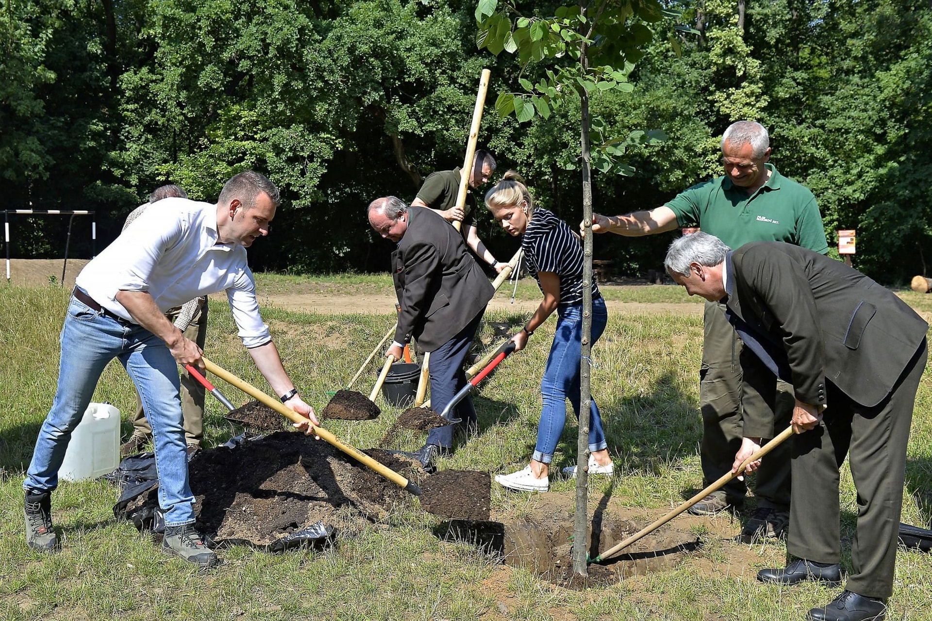 Gyarapítani kell az erdőket