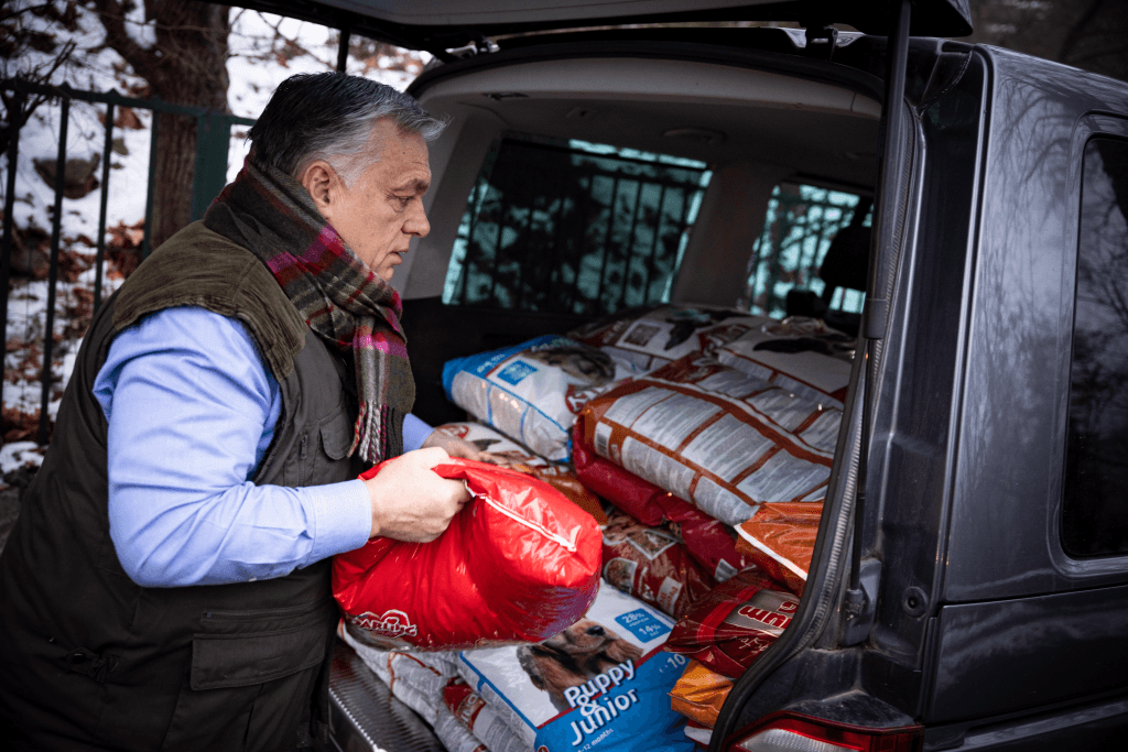 Orbán Viktor karácsonyi ajándékot vitt egy ürömi állatotthonba