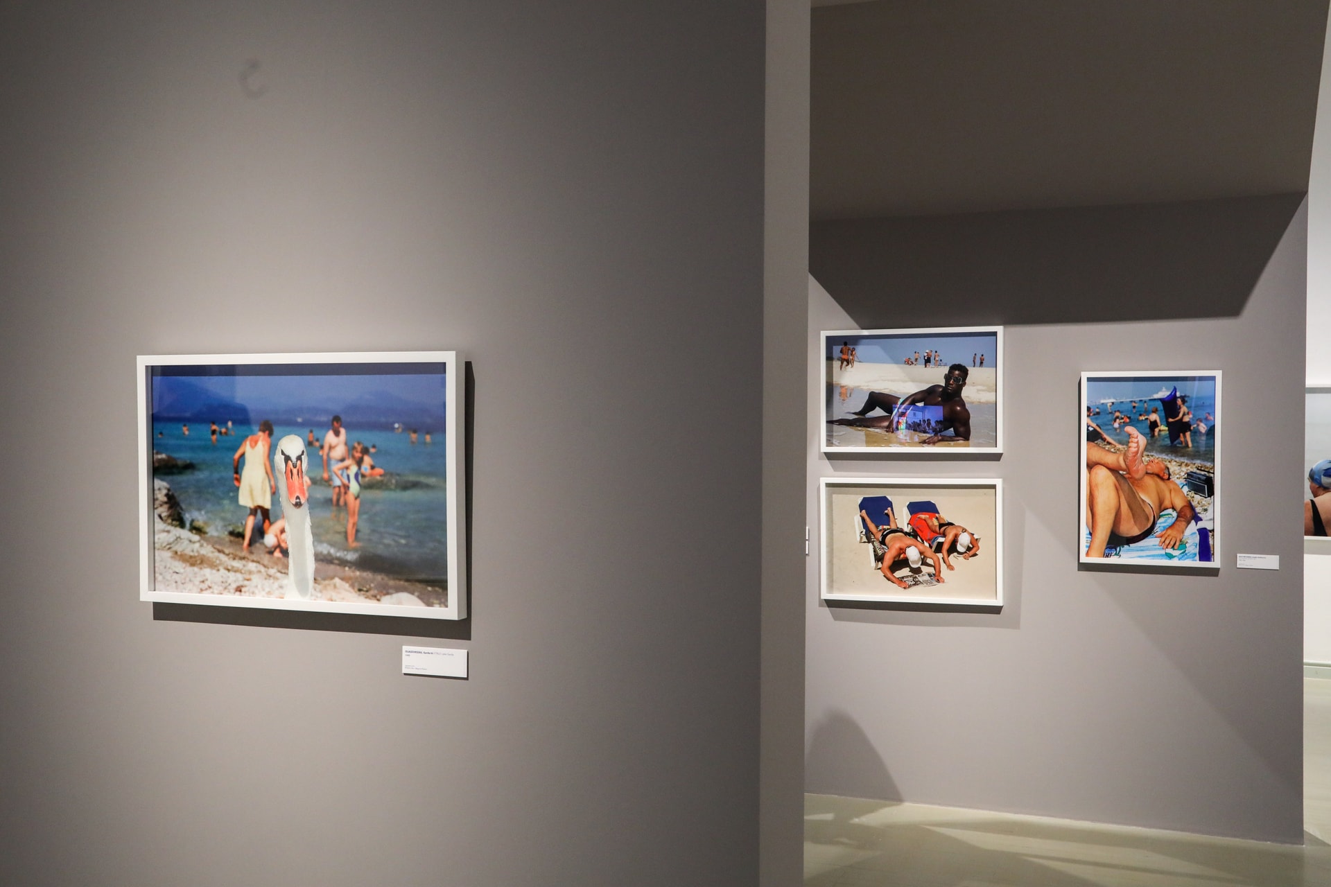 Martin Parr tárlata nyitja a Budapest FotóFesztivált a Műcsarnokban
