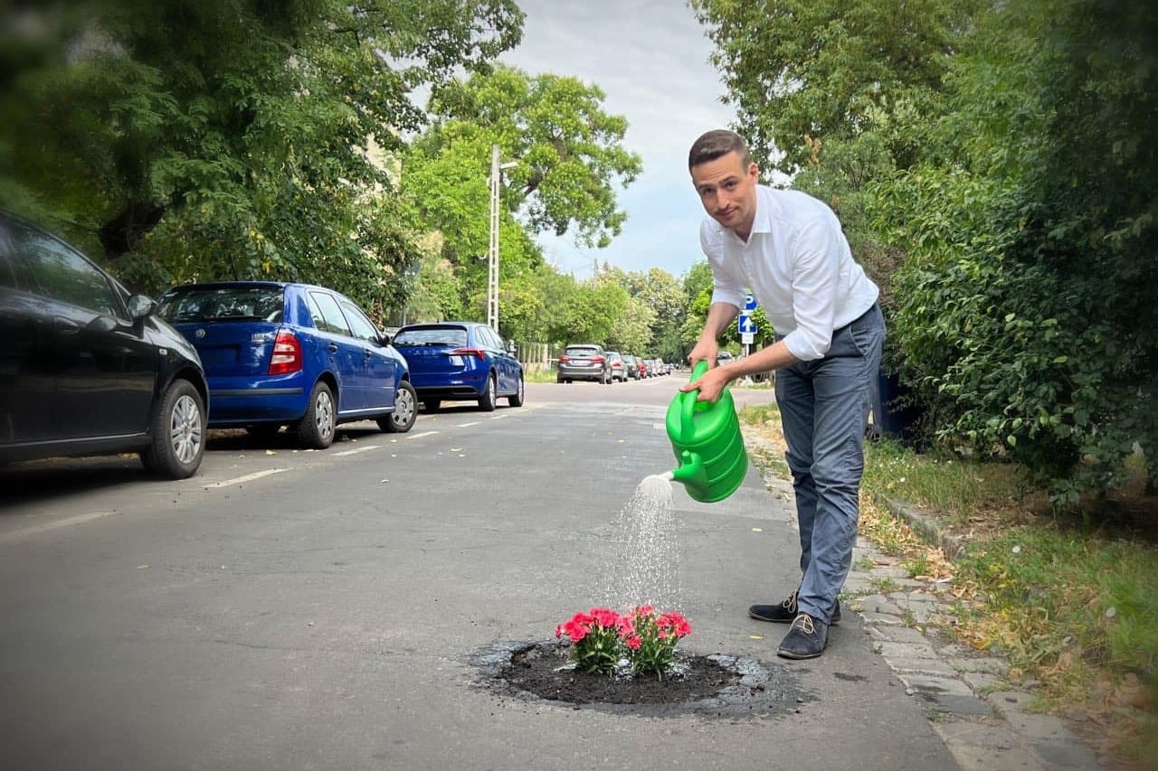Kivirágzott a zuglói kátyú