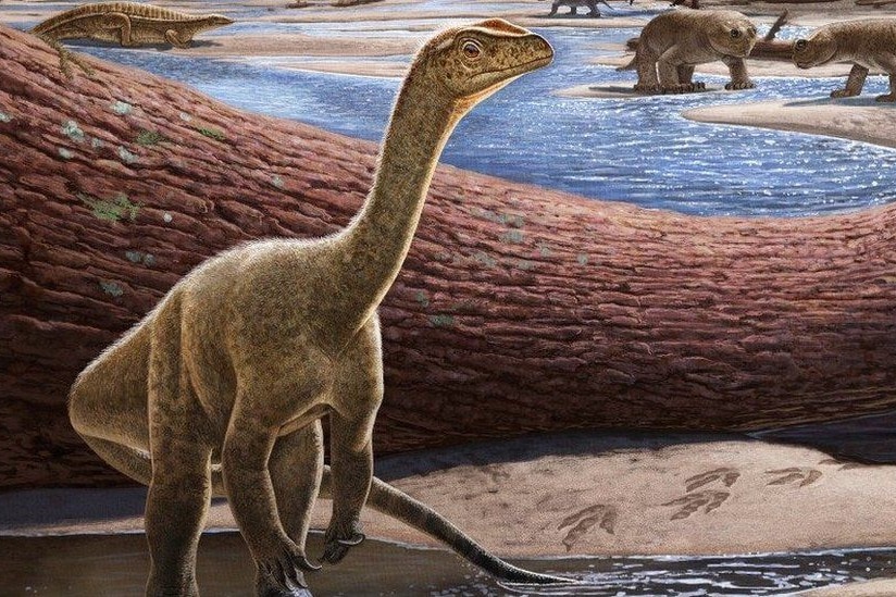 Afrika eddig ismert legrégibb dinoszauruszát fedezték fel Zimbabwéban